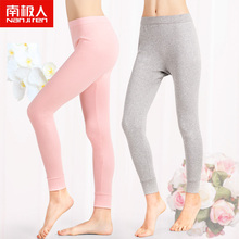 保暖线裤 单件 衬裤 内穿纯棉毛裤 紧身全棉打底裤 薄款 南极人女士秋裤