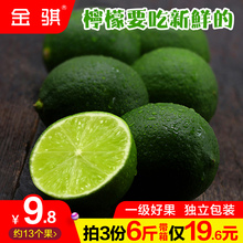海南青柠檬带箱2斤柃檬一级小青柠新鲜酸水果批发免邮5非进口无籽