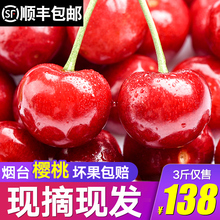 山东大樱桃新鲜应季水果现摘土樱桃孕妇非智利车厘子美早樱桃3斤
