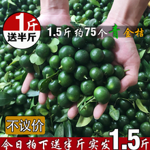 现货现发新鲜小青金桔 小柠檬常年供应奶茶店青柠檬小金桔1斤批发