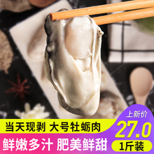 包邮 单家河新鲜去壳生蚝肉乳山海蛎子肉1斤现剥鲜活生蚝牡蛎肉3斤
