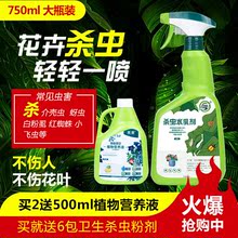 杀虫剂花卉植物通用红蜘蛛蚧壳虫蚜虫小黑飞花草家用除虫多肉花药