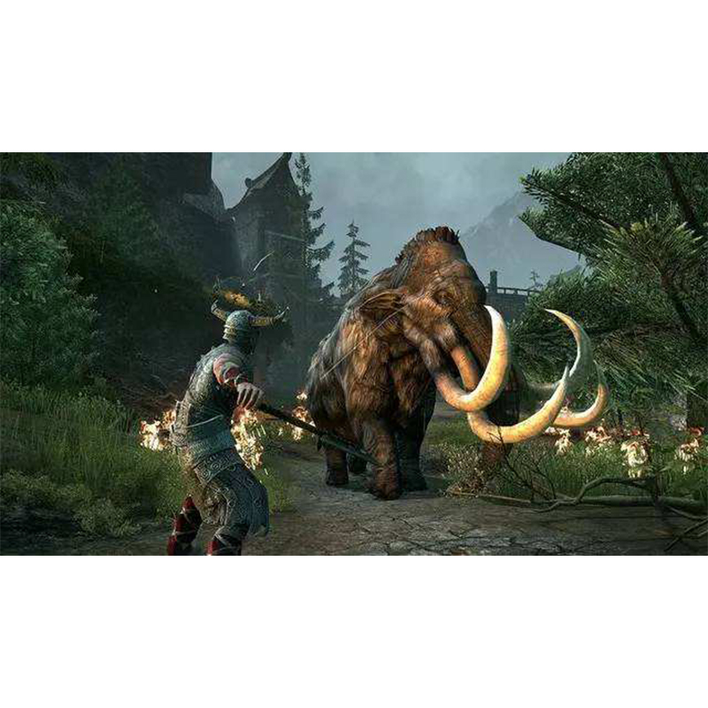 任天堂 Switch NS游戏卡带 上古卷轴5 老滚5 上