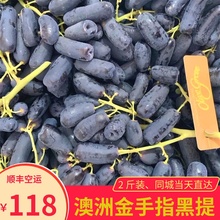 进口澳洲金手指黑提葡萄无籽美人指非美国无子黑提子新鲜水果 包邮