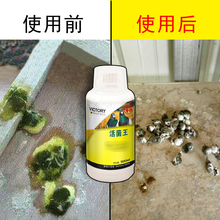 汉诺威活菌王鸽药鸽子药水便绿便种鸽肠道特效鸽药鹦鹉保健鸽子药