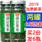 蒲公英茶清热去火蒲公英茶通乳腺婆婆丁茶 共2瓶蒲公英茶野生