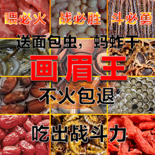 画眉王画眉鸟食饲料手工唱鸟料斗鸟料专用提性营养壮膘料正品包邮