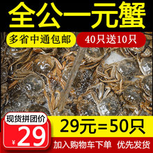 抢全公40送10只大一元一只的小螃蟹小二元河蟹毛蟹香辣蟹醉蟹包邮