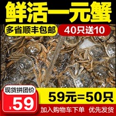 果令营大闸蟹鲜活一元小蟹0.3-0.5两香辣蟹毛蟹小河蟹小螃蟹包邮