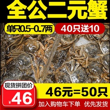 【2元全公】大闸蟹鲜活公蟹香辣蟹醉蟹火锅料锅底海鲜螃蟹麻辣蟹