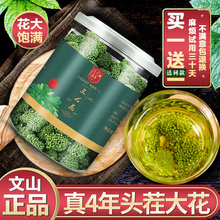 三七花茶 三七花云南文山非特级500g新田七花四年生三七仿野生正品