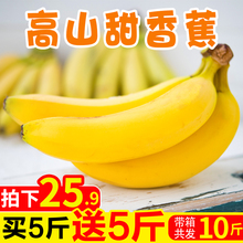 包邮 买1送1源鲜汇高山甜自然熟香蕉新鲜水果当季 带箱10斤非小米蕉