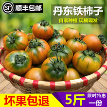 丹东东港特产l草莓柿子铁柿子油柿子绿定柿子碱地番茄 包邮 顺丰
