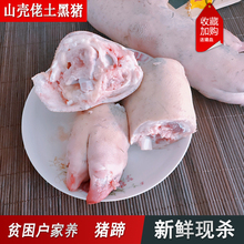 包邮 散养野山土黑猪新鲜猪蹄生猪手生猪脚黑猪爪蹄爪子2只约5斤装