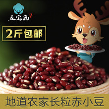 五宝鹿赤小豆【2斤包邮】长粒赤豆红小豆五谷杂粮薏米搭档1斤500g