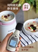 电炖杯学生夏季煮粥杯旅行电炖杯烧水杯电热杯充电式养生机通用