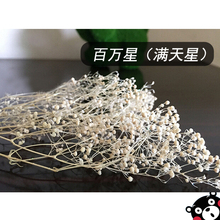 百万星 1克价 满天星 永生花DIY花材材料 农园花球材料包