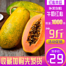 红心牛奶大木瓜10斤带箱新鲜当季热带水果冰糖心木瓜孕妇新鲜水果