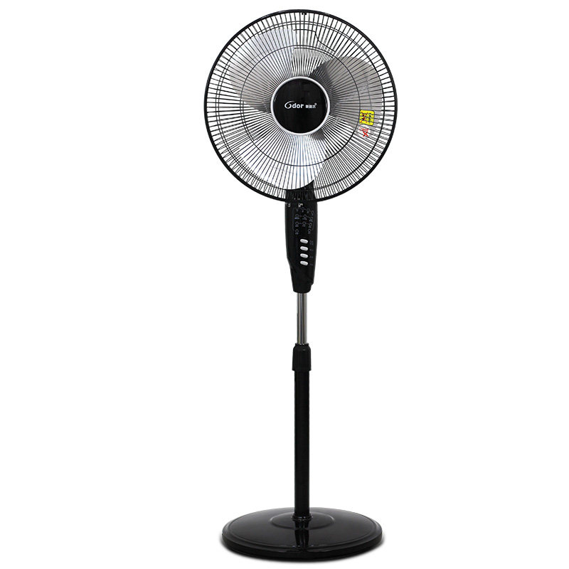 �µ¶������fs40c1ty