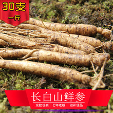 新鲜 人生 整棵 鲜人参 人参 长白山 2元 秒杀 东北人参