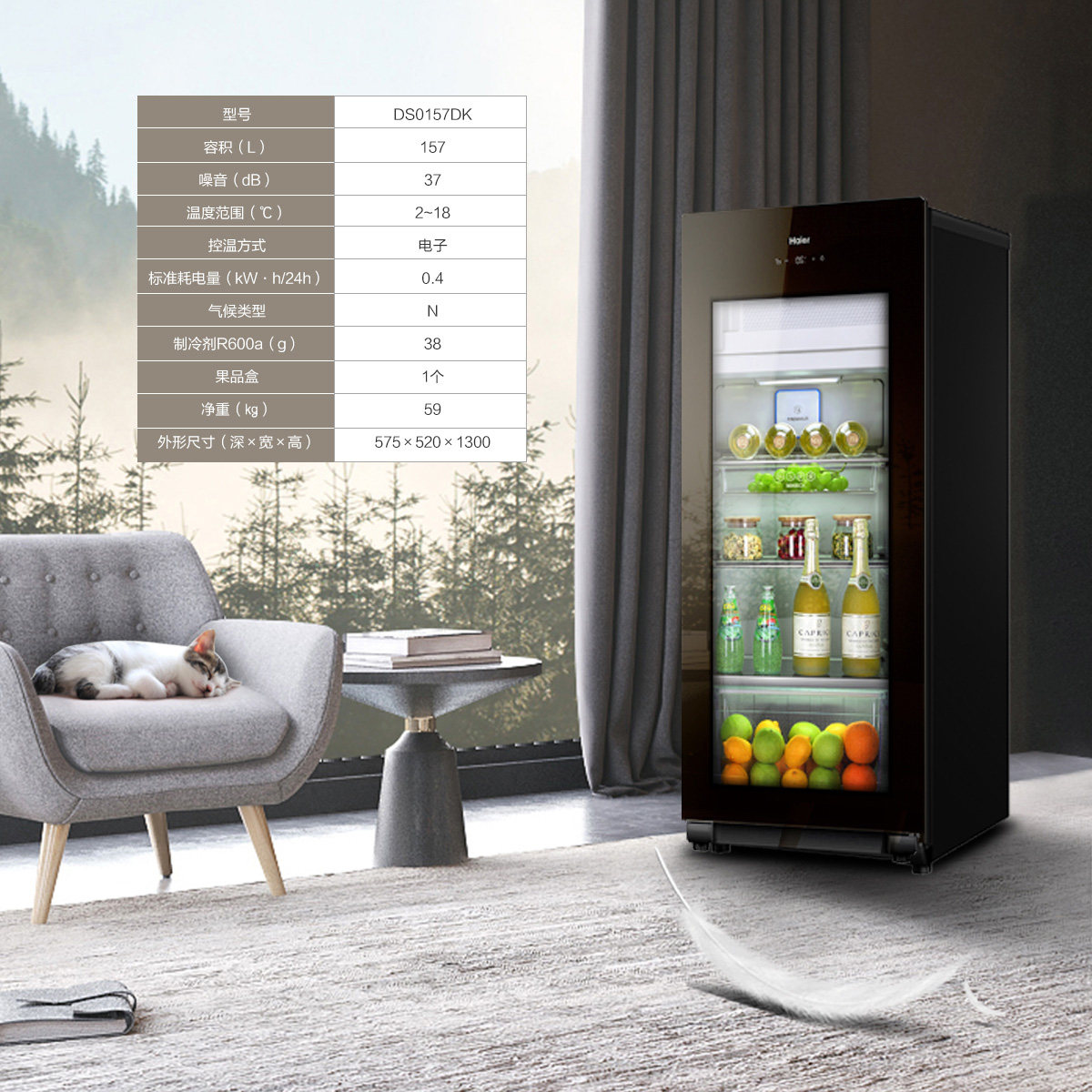 �������ʹ�DS0157DK