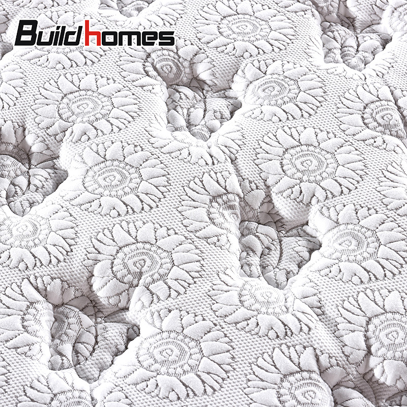 buildhomes3d͸齺