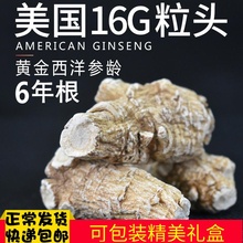 美国进口花旗参西洋参切片大圆粒头100克g整枝段粉礼盒装 正品 加拿