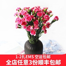 包邮 云南鲜花基地直发批发家用控塑胺⒅迸花束18只速递同城空运