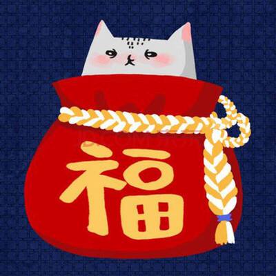 祈福答案福袋(瑕疵品处理|介意慎拍)(价低|不影响使用)