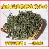 包邮 东北延边紫苏野苏子叶狗酱鱼汤朝鲜族纯野生苏子叶19年新货