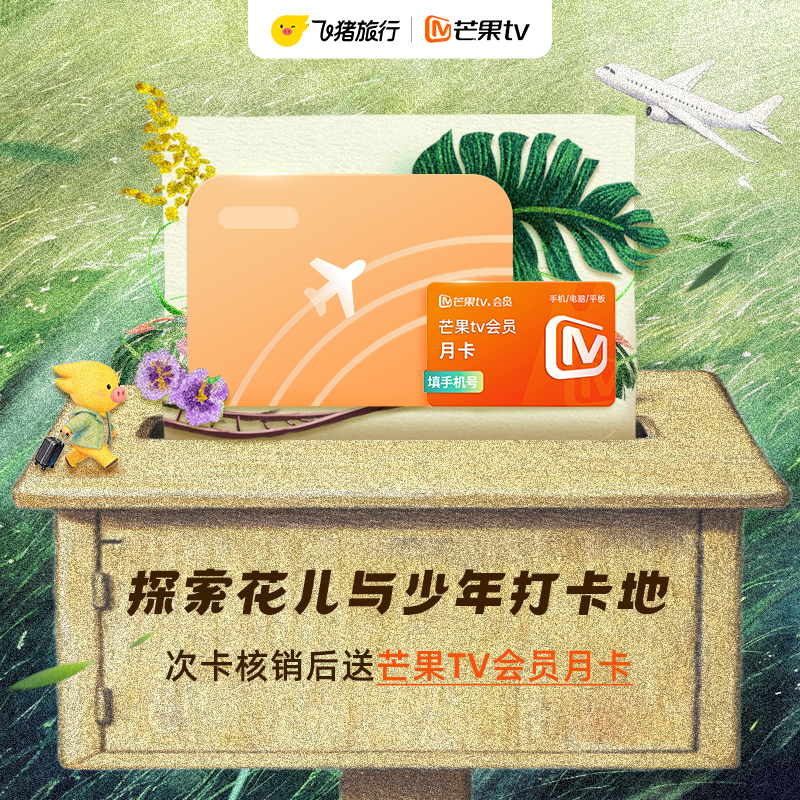 花儿与少年好友记东南亚机票卡