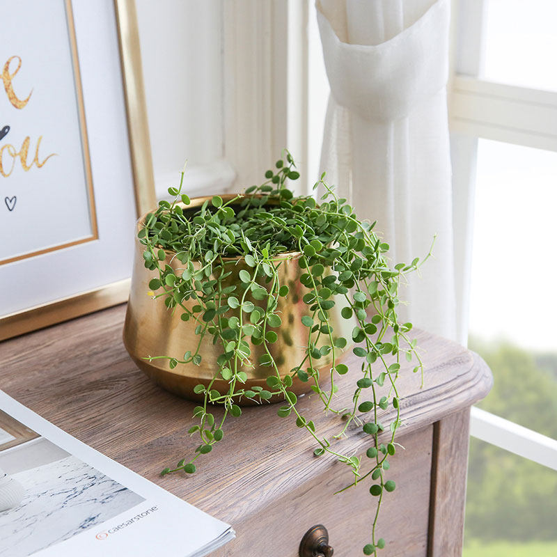 ���ӼҾӷ��滨�ڼ�VLV060003