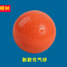 榕树牌太极柔力球太极球夜光充气软球柔力球