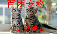 补运费专拍 百团宠物