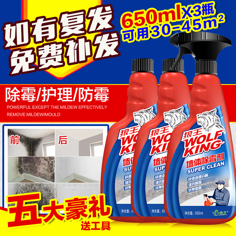 5年租房噩梦！15㎡发霉房竟成“健康杀手”妻子查出5项异常