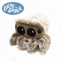 小蜘蛛卢卡斯 lucas the spider 毛绒玩具 布偶 布娃娃 跳蛛公仔