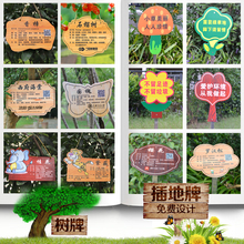 亚克力悬挂树牌定制花草牌树木介绍铭牌植物简介插地牌广告标识牌