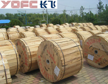 GYTS GYTA 长飞 4B1.3 4芯室外层绞式单模光缆 YOFC