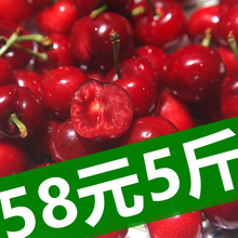 包邮 5斤非智利进口车厘子樱桃 大樱桃山东烟台车厘子新鲜水果航空