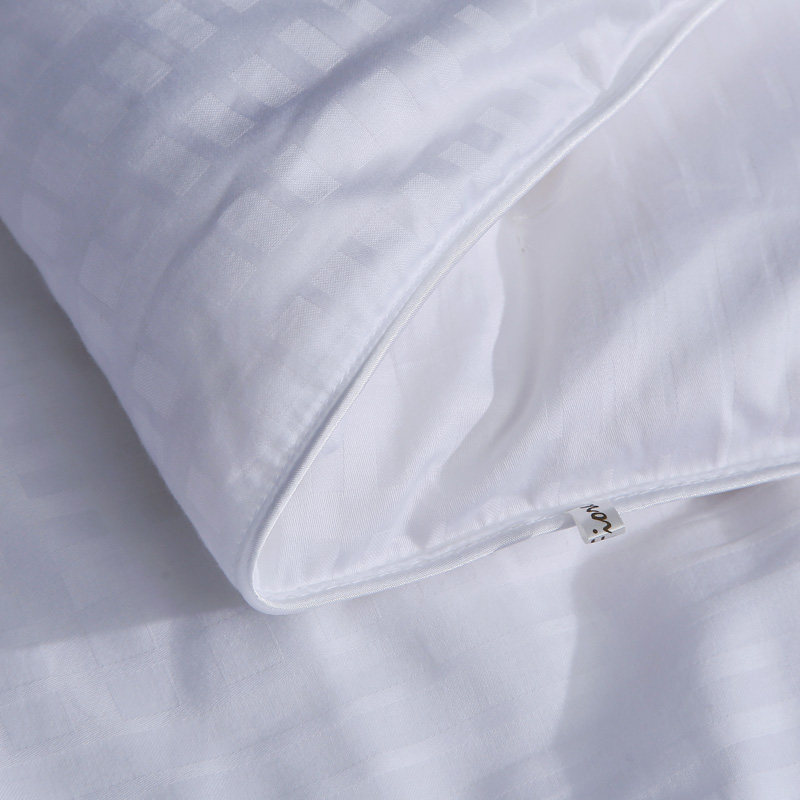 ʥ֮��ȫ�޲�˿��842000197