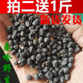 拍2送1斤 包邮 冬青子500克 陕西秦岭野生女贞子新货中药材女贞子茶