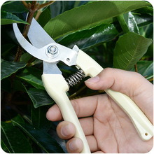 园林果树花卉枝嫁接园艺剪刀工具 不锈钢树枝修枝剪摘水果花木剪