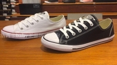 Dainty 537204C 纯色百搭薄底530054C 匡威Converse专柜 正品
