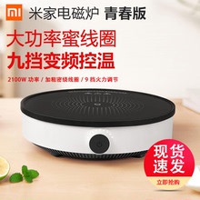 xiaomi 米家电磁炉青春版全套家用双频智能炒锅迷你火锅新品 小米