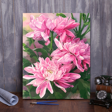 diy数字油画 客厅风景花卉动漫人物手绘定制填色装饰画 花卉0014