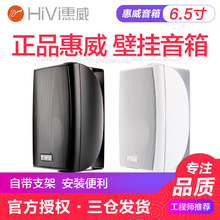 Hivi OS壁挂音箱套装 会议室定压挂壁音响 店铺挂式喇叭 VA6 惠威