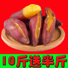 新鲜红黄甜心板栗红薯蜜薯农家自种沙地小香薯烤地瓜5斤山芋10斤