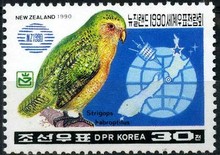 新西兰特有鸟类枭鹦鹉 1全 地球地图 朝鲜1990邮票 原胶全品