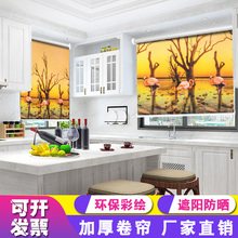 卷帘窗帘遮光阳办公室窗帘卫生间广告浴室定制写真上下升降拉帘