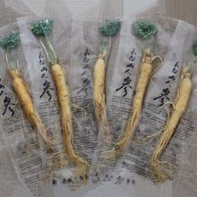 泡酒煲汤参 包邮 鲜参全须正品 东北吉林长白山新鲜人参五枝真空包装